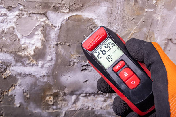 Home Mold Removal in Harveys Lake, PA