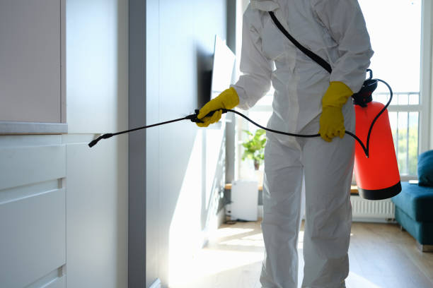 Best Mold Remediation  in Harveys Lake, PA