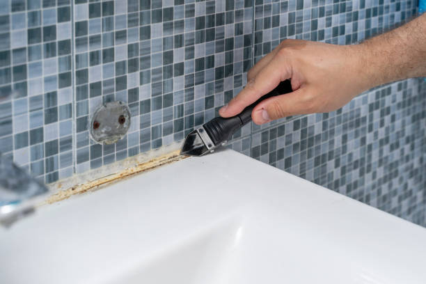 Best Toxic Mold Removal  in Harveys Lake, PA