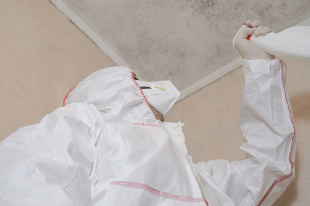 Best Residential Mold Removal  in Harveys Lake, PA